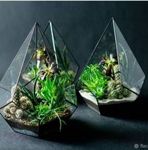 floral-life