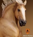 Veronika Tarasova - Livemaster - handmade