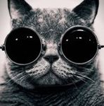 Alex - Ярмарка Мастеров - ручная работа, handmade