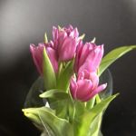 Gotovye izdeliya ( ne na zakaz) - Livemaster - handmade