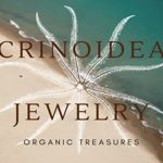 crinoidea-jewelry