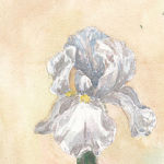 Ksyusha Nikonova (prostopanda) - Livemaster - handmade