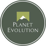 Planet Evolution - Livemaster - handmade