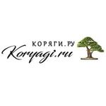 koryagi-ru