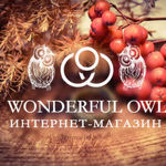 wonderful-owl