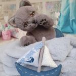 Evgenia_dolls_toys (KirichekEvgenia) - Livemaster - handmade