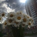 Лолита