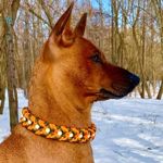headwaydog
