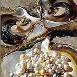perlarubia