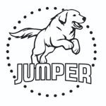 jamperdog