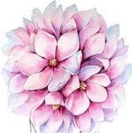 Аватар покупателя