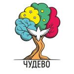 chudevotoys