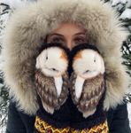 live-mittens