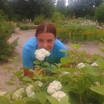 anna-korkino
