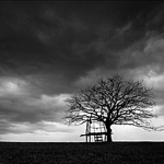 verbova-photo