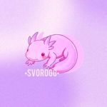 svetlana-idl