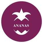 Ananas - Livemaster - handmade