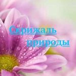olesya-86