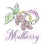 mulberryy