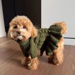 mywoollypet