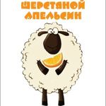 woolorange46
