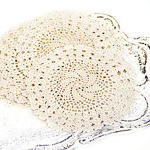 crochetvintage
