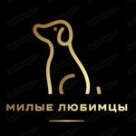 milye-lyubimtsy