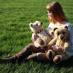 autumn-bears