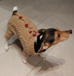 Odezhda, kak iskucstvo - Livemaster - handmade