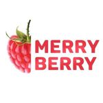 MerryBerry (Mariya Tulubenskaya)