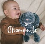 chamomile-kawai
