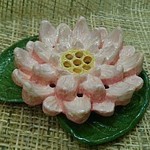 pinkwaterlily