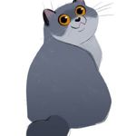 fatcatspb
