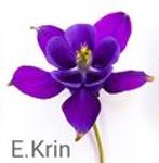 Krin/Elena - Livemaster - handmade