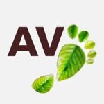 ales-vito