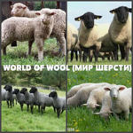 WORLD OF WOOL (MIR ShERSTI) - Livemaster - handmade