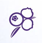 berrybrooch