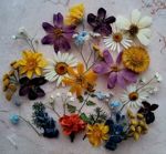 epoxy-elina