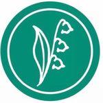 Katrin’s flowers  (katechkamelnik) - Ярмарка Мастеров - ручная работа, handmade