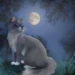catmeowtiger24