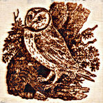 pirogr