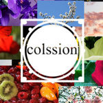 colssion