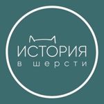 istoriya-v-shersti
