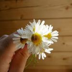Mariya - Ярмарка Мастеров - ручная работа, handmade