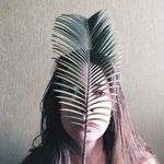 potapova-po