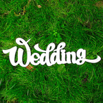 hibride