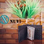 nuvi