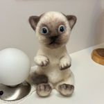 vickys-pets