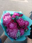 Aleksandra - Livemaster - handmade