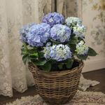 Ekaterina - Livemaster - handmade